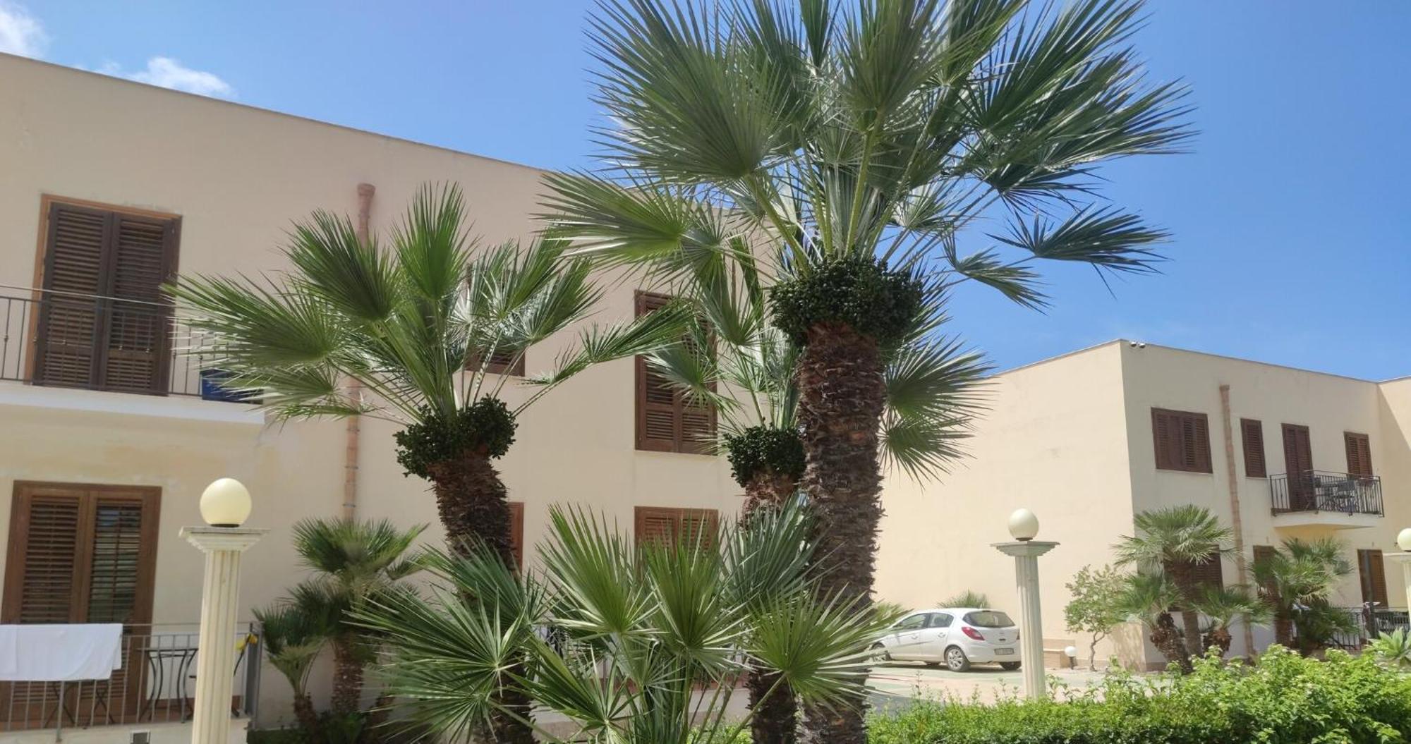 Lg Apartment San Vito Lo Capo